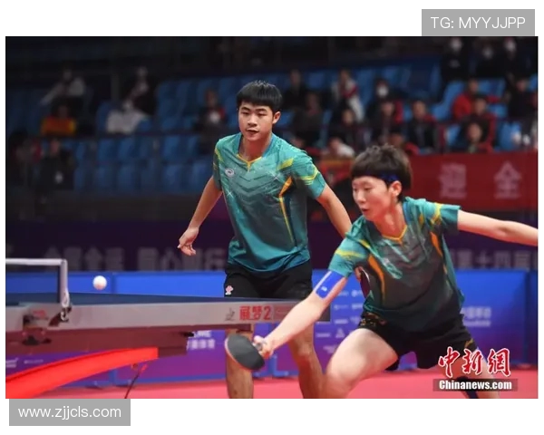 乒乓球的热爱与坚持刘磊的运动人生深度对话探秘